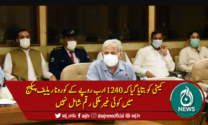 پی اے سی : کورونا کے دوران غیر ملکی امداد کی تفصیلات طلب