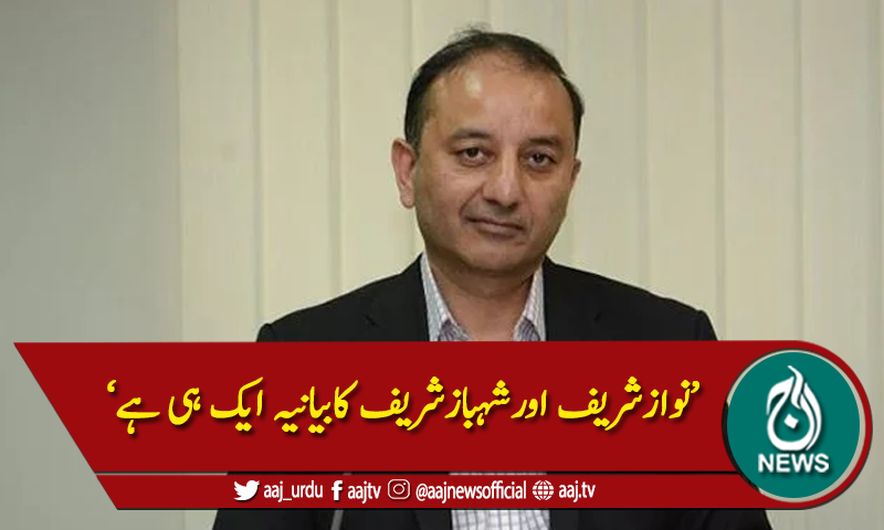 'معیدیوسف کا بیان غیرذمہ دارانہ ہے'