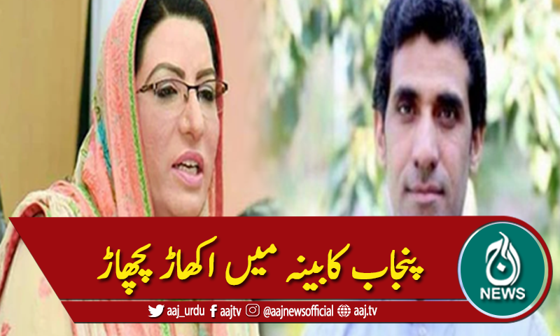 پنجاب کابینہ:عون چوہدری اور فردوس عاشق اعوان عہدوں سے مستعفی