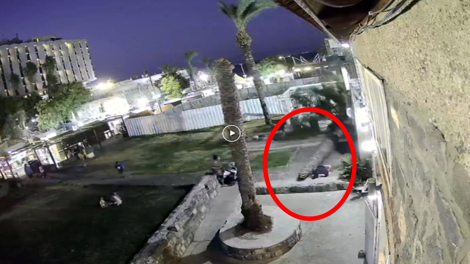 دل دہلا دینے والی ویڈیو:کھجور کے درخت نے راہ گیر خاتون کو کچل دیا