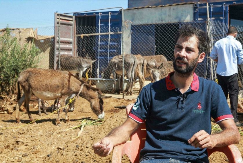 مشرق وسطیٰ میں گدھی کے دودھ سے بنے صابن کی طلب کیوں؟