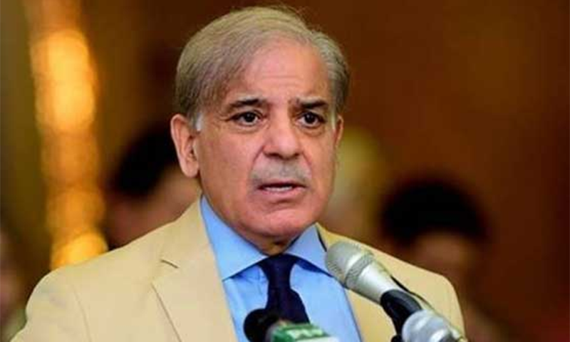 صدر ن لیگ شہباز شریف گر کر زخمی ہوگئے