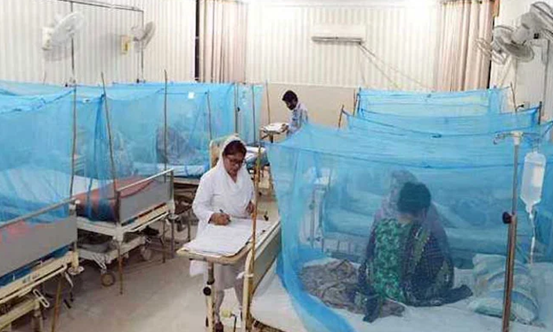 پنجاب: ڈینگی میں اضافہ ،173 افراد نشانہ بنے