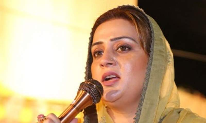 پنجاب : ڈینگی میں اضافہ ، صوبائی حکومت پر ذمےداری عائد