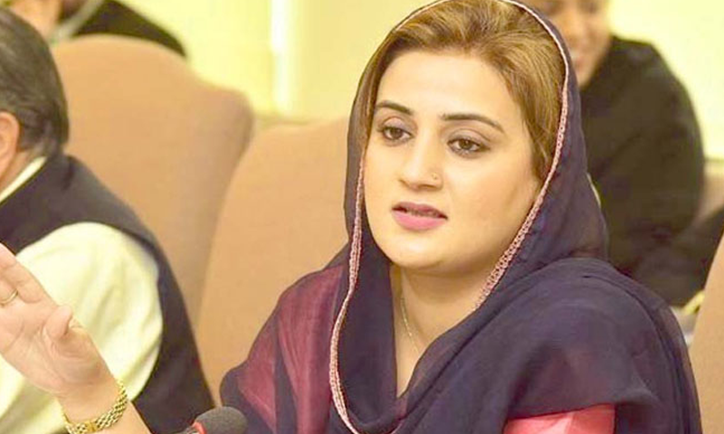 'کالعدم ٹی ایل پی کو ن لیگ کونقصان پہنچانےکیلئےلایاگیا'