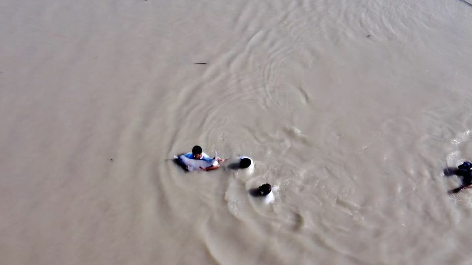 It was a delicate task to keep the skin wet and foster the animal's impression of being still in the water. Reuters