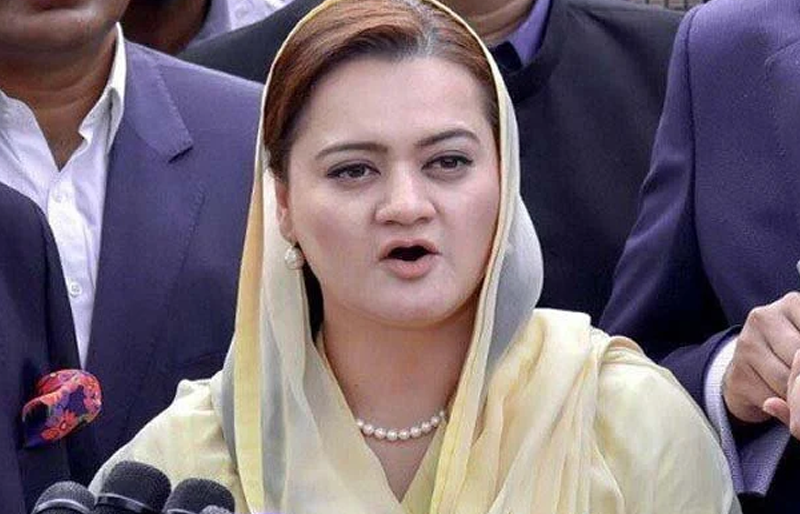 ' سولہ ماہ گزرگئے شہباز شریف کے خلاف ثبوت جمع نہ کرائے جاسکے'طنز