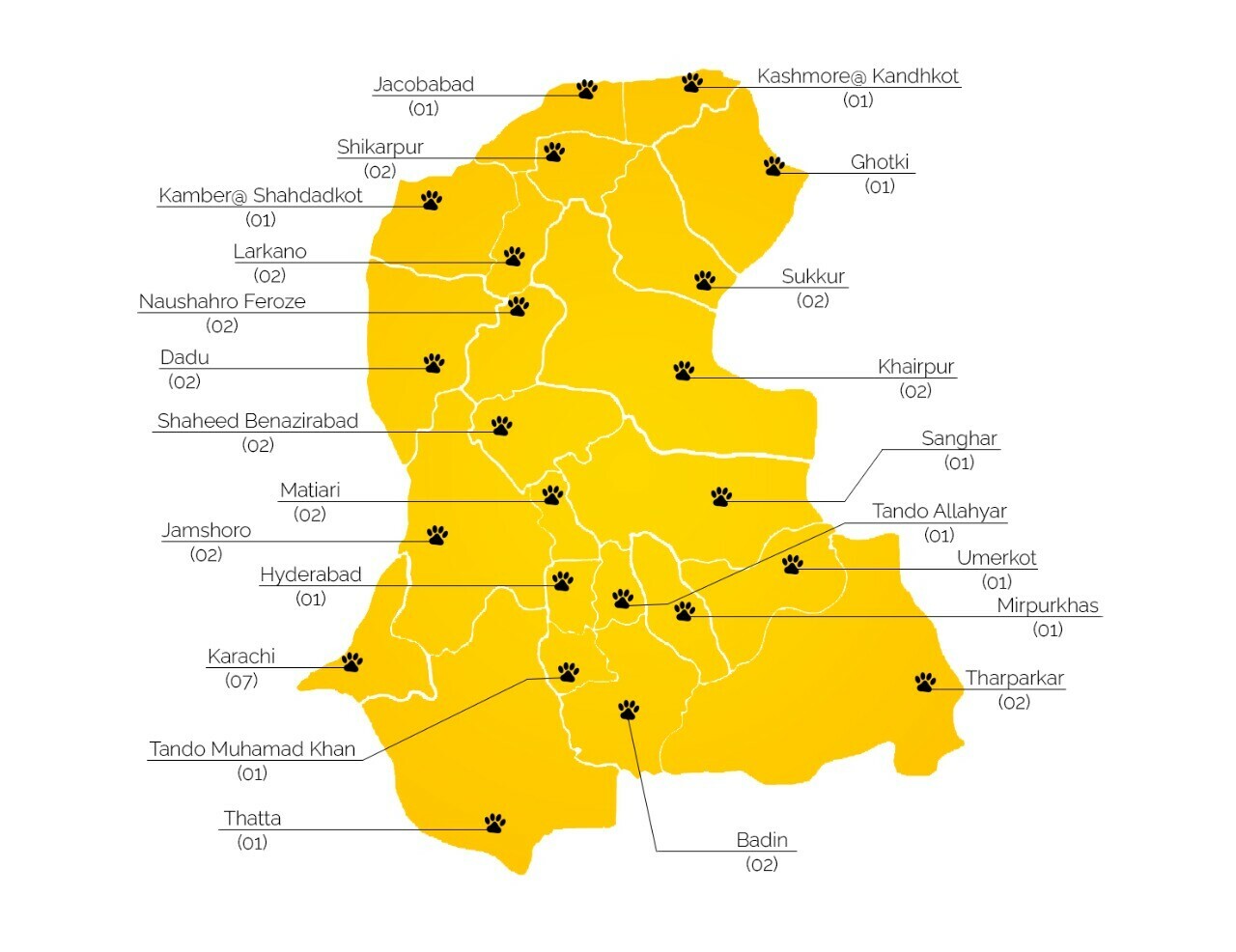 Sindh’s stray dogs have their day as rabies programme launched