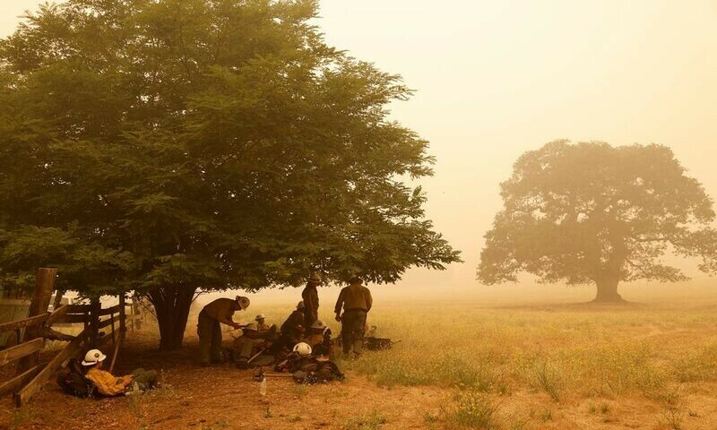 Klamath Interagency Hotshots rest under a tree while waiting for a new assignment as the McKinney Fire burns near Yreka, California, US. Photo: Reuters.