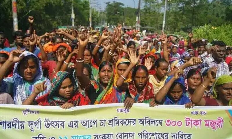 Tea garden workers protest demanding an increase in their daily wages in Sylhet on October 15, 2020. AFP/File