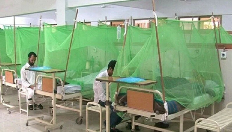 ڈینگی کیسز: پنجاب میں ایمرجنسی نافذ، خلاف ورزی پر گرفتاریوں کا حکم