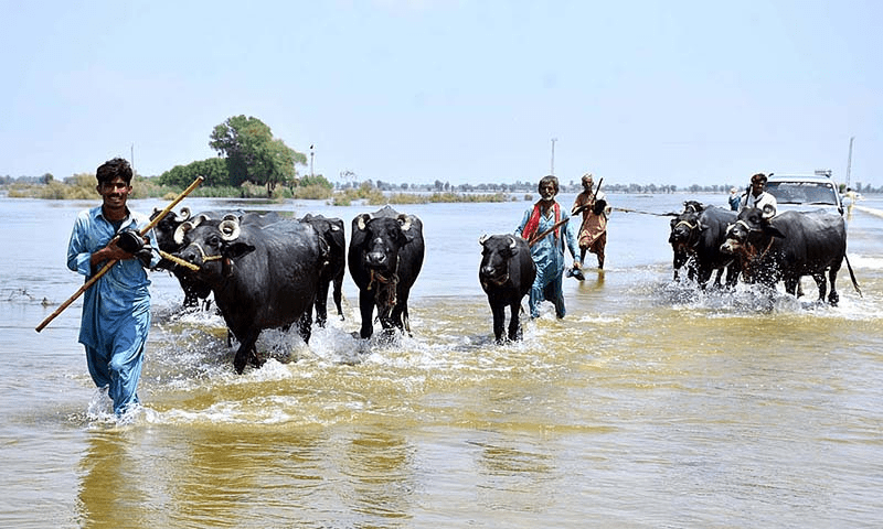 کوئٹہ میں سیلاب متاثرین کے لیے نئی مشکل کھڑی ہونے کو