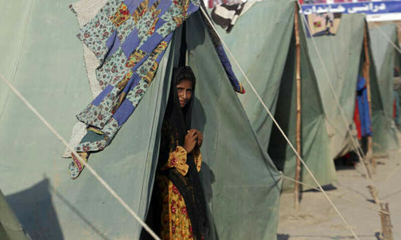 سیلاب سے متاثرہ علاقوں میں ساڑھے 6 لاکھ حاملہ خواتین موجود