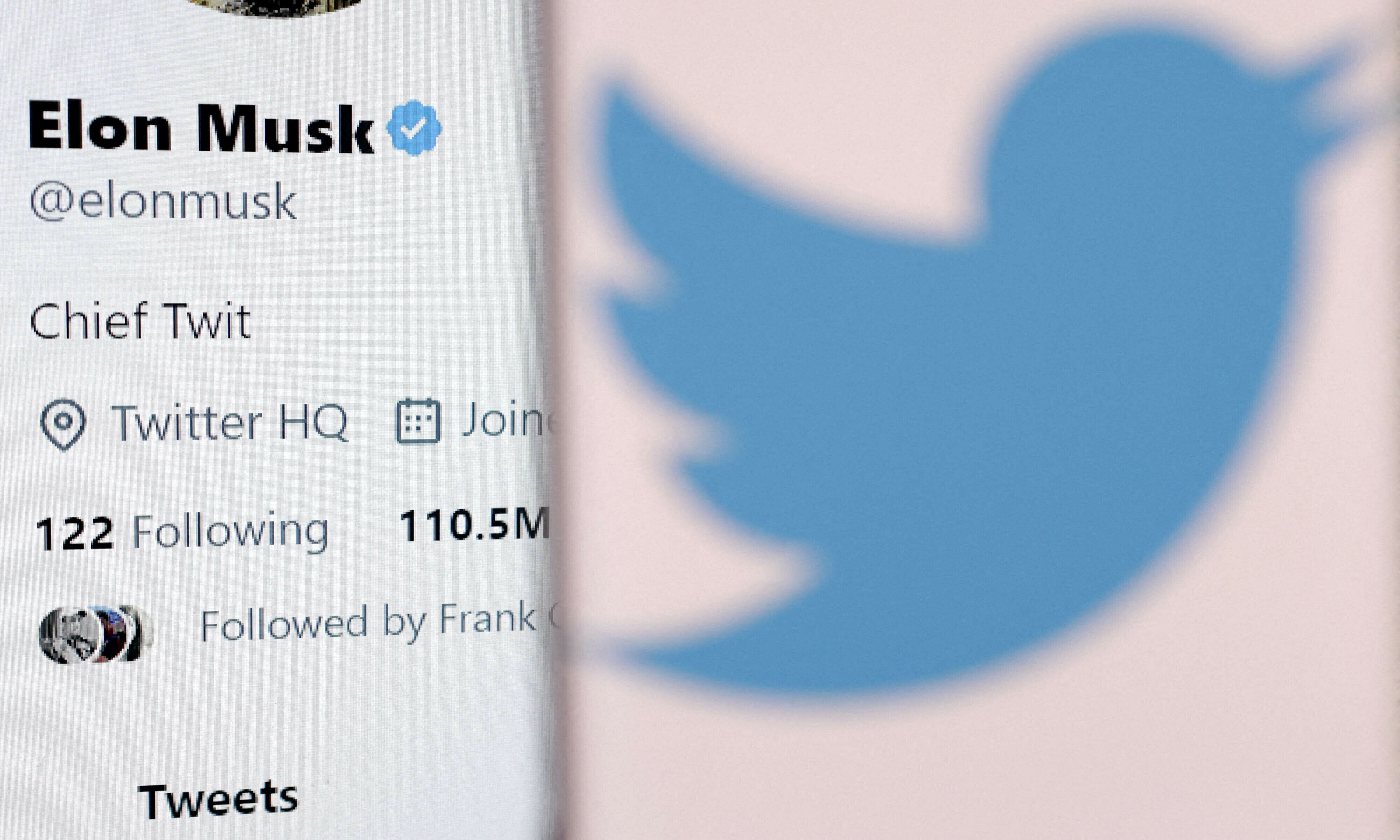 Elon Musk&rsquo;s account and the Twitter logo are seen in this illustration. &mdash; Reuters/File
