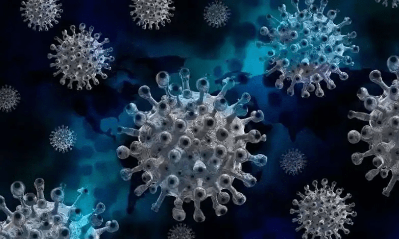 رحیم یارخان میں پُر اسرار بیماری کے باعث ایک ہی خاندان کے 12 افراد چل بسے