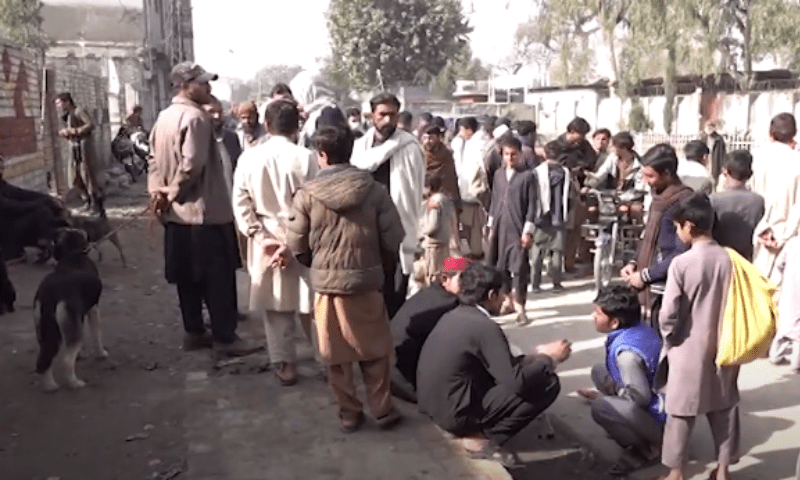 پشاور میں پالتوجانوروں کے مالک اپنا شوق قربان کرنے پرمجبور