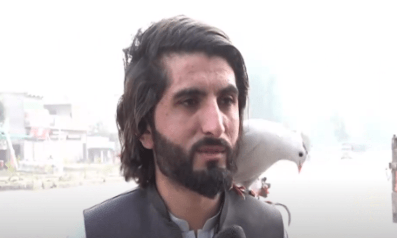 کبوترکی مالک کیساتھ محبت نے لوگوں کو حیران کردیا
