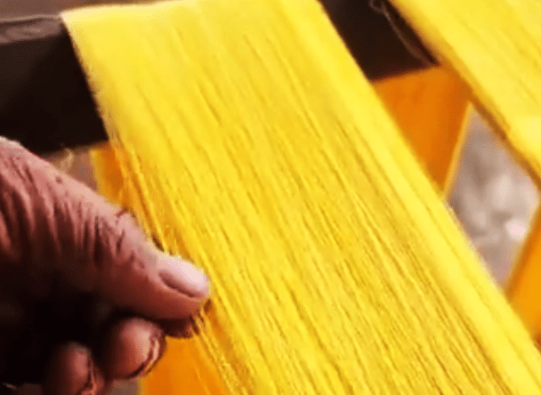 ویڈیو: ریشم کی تیاری کیلئے کیڑا کیسے دردناک موت سے گزرتا ہے