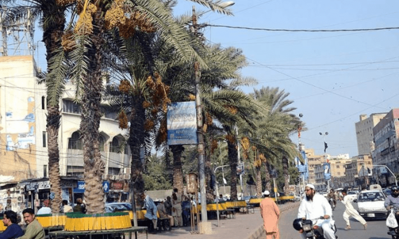 کراچی، ائیرپورٹ کے قریب متعدد تن آور درختوں کو کاٹ دیا گیا