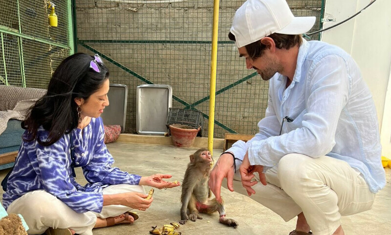 جانوروں سے محبت فاطمہ بھٹو کو شادی کے اگلے دن اینیمل ویلفیئر سینٹر لے گئی