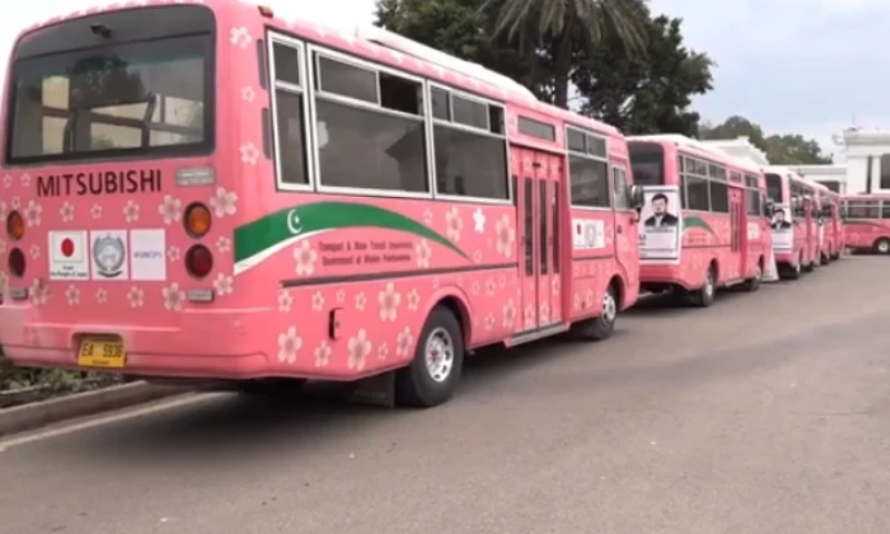 خیبرپختونخوا: 5 برس قبل بطور تحفہ ملنے والی پِنک بسیں مختلف گرلز کالجز کے حوالے