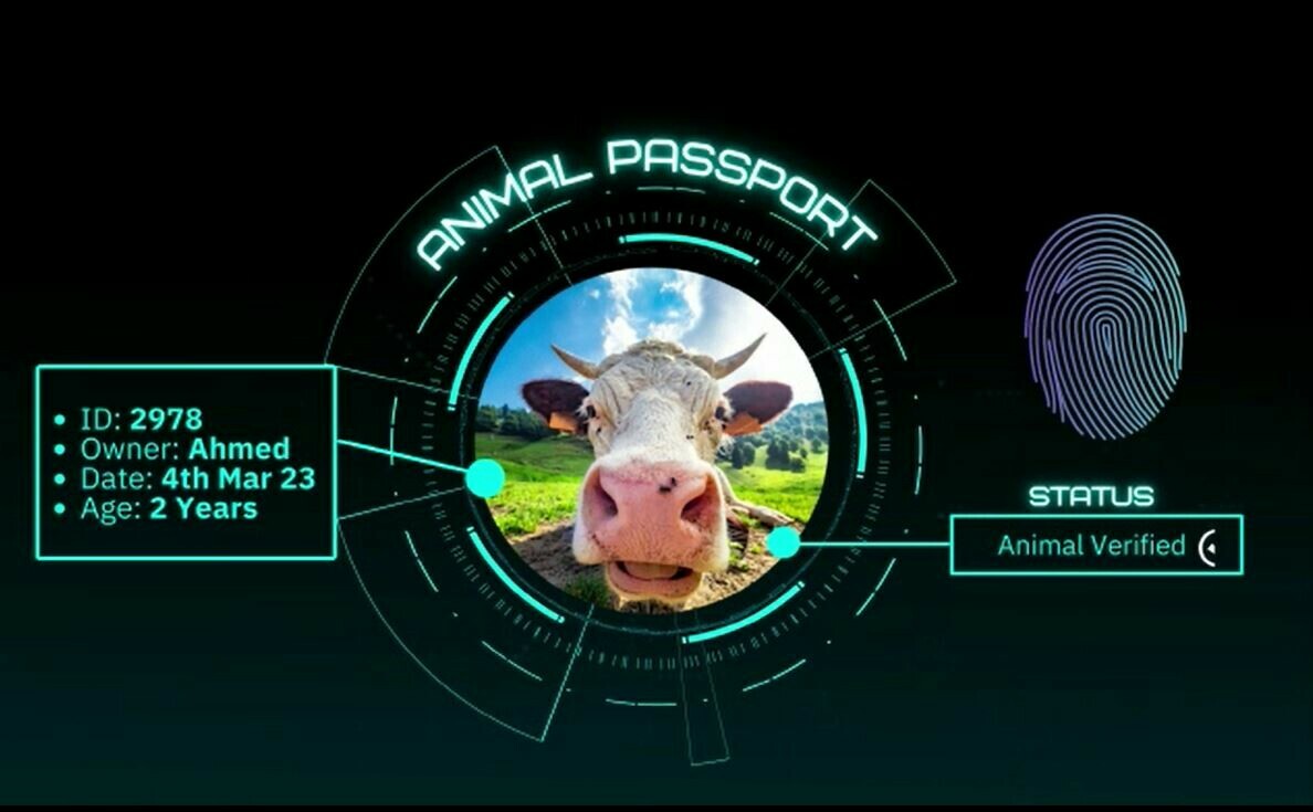 جانوروں کی بائیومیٹرک شناخت اور رجسٹریشن، لیکن کیسے؟