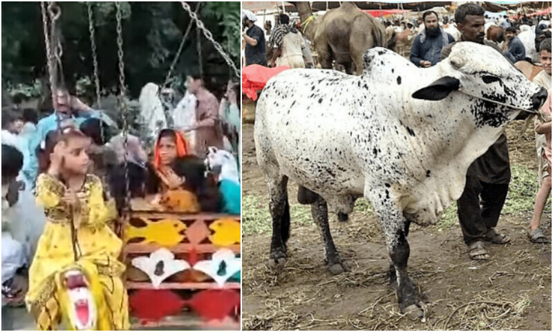 عید الا ضحیٰ کا تیسرا روز، قربانی کے بعد کراچی کے شہری سی ویو کی جانب نکل پڑے