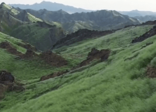 مکہ کے پہاڑوں پر لمبی لمبی گھاس اگ آئی