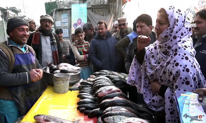 خیبرپختونخوا کا واحد ضلع جہاں پہلی بار 5 خواتین امیدوار انتخابی میدان میں ہیں