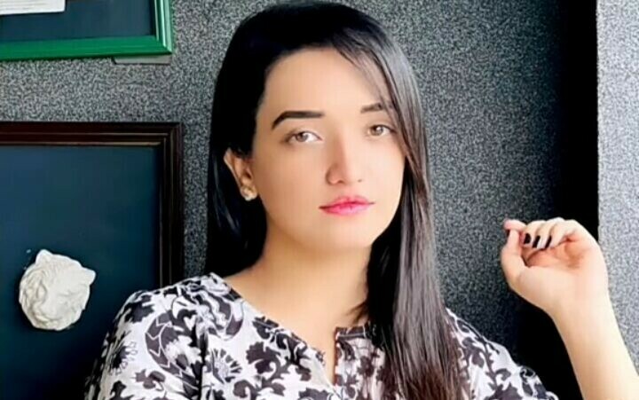 صنم جاوید کےجسمانی ریمانڈ کی درخواست پر فیصلہ محفوظ