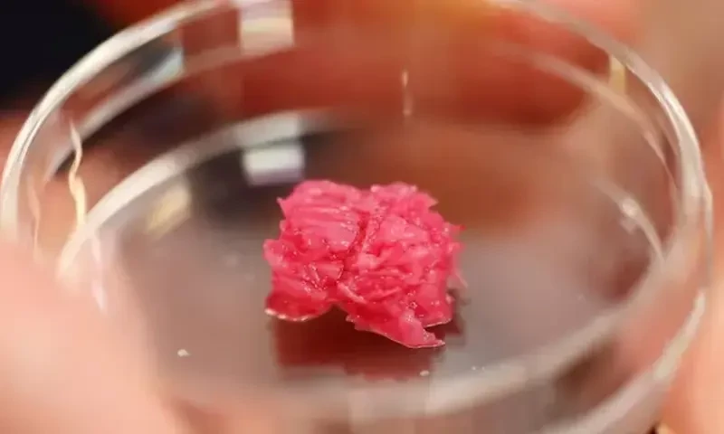 لیب میں تیار ہونے والا گوشت مسلمانوں کیلئے حلال قرار لیکن شرط بھی عائد