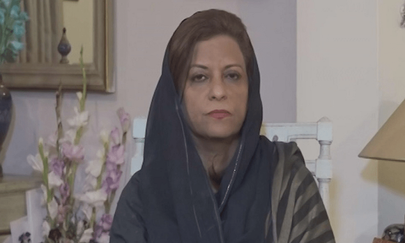 سوشل میڈیا پر پابندی پارلیمنٹ کی اجازت سے ہونی چاہیے، نفیسہ شاہ