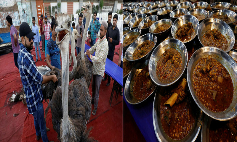 شتر مرغ حلال ہے یا حرام؟