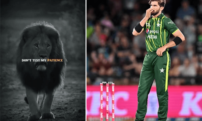 میں کتنا ظالم اور بے رحم ہو سکتا ہوں! میرے صبر کا امتحان نہ لیں، شاہین آفریدی