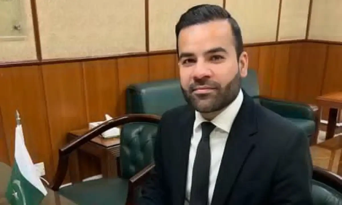 فون ٹیپنگ اس وقت کی اشد ضرورت ہے، بیرسٹر عقیل ملک