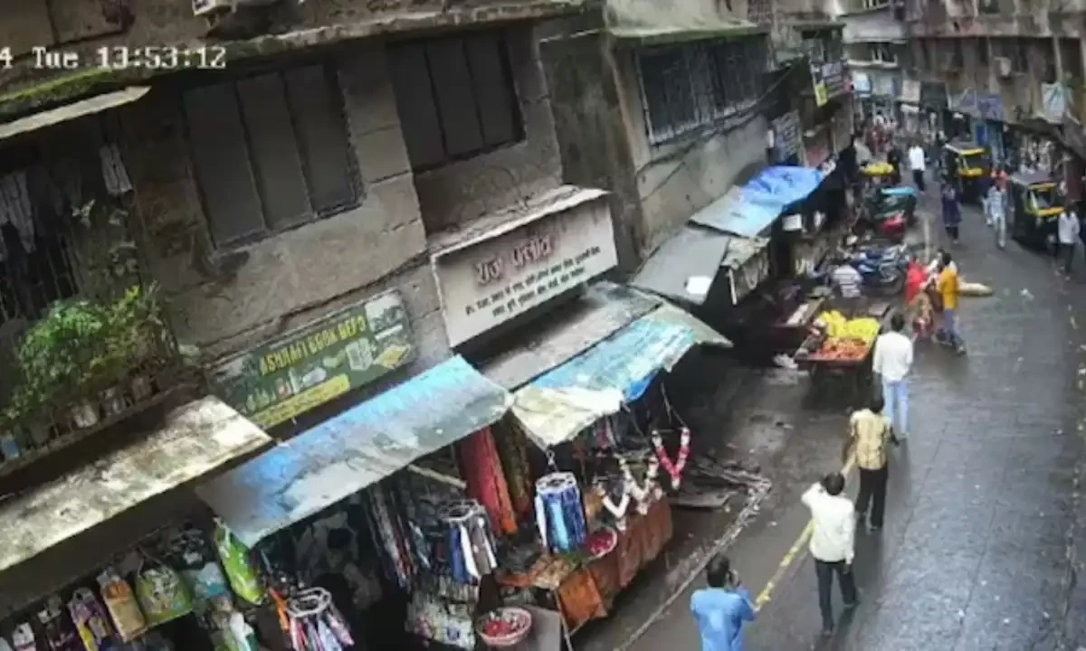 بچی کی ہلاکت کا باعث بننے والے کتے کا مالک گرفتار