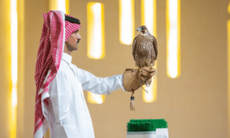 شکاری پرندے کا جنون، &rsquo;باز&lsquo; کا بچہ 2 کروڑ روپے میں فروخت