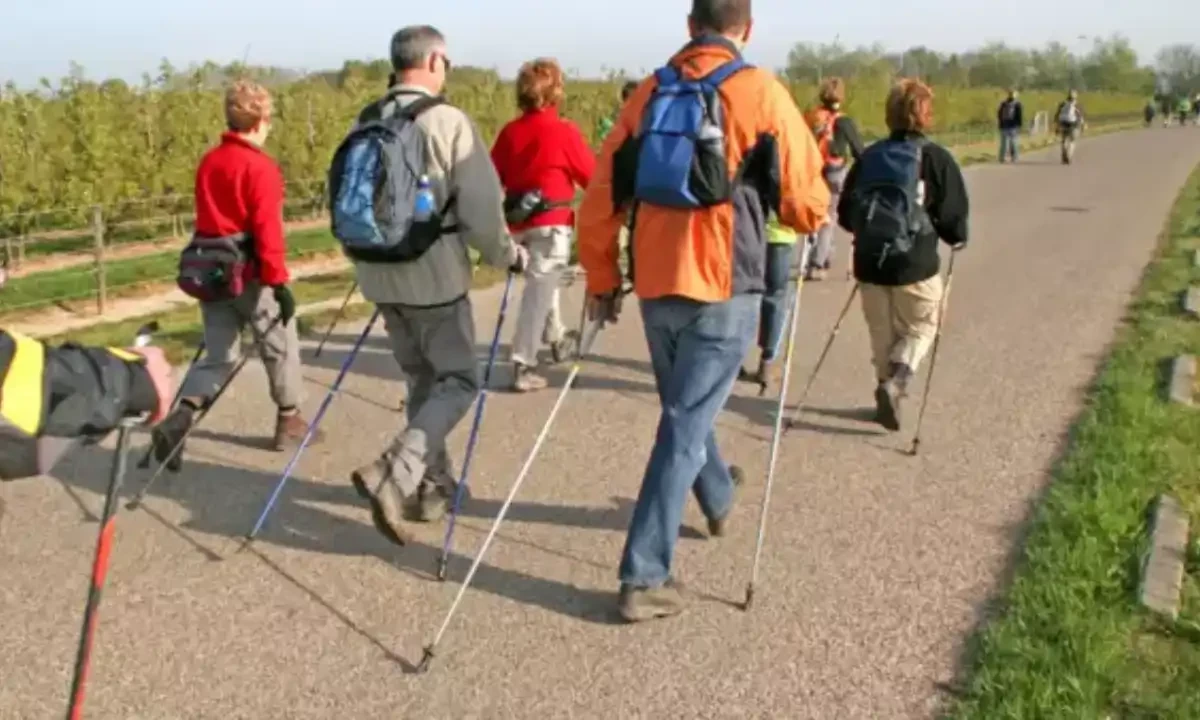 چھڑی کی مدد سے چہل قدمی صحت کے لیے فوائد دُگنے کرنے کی ضامن