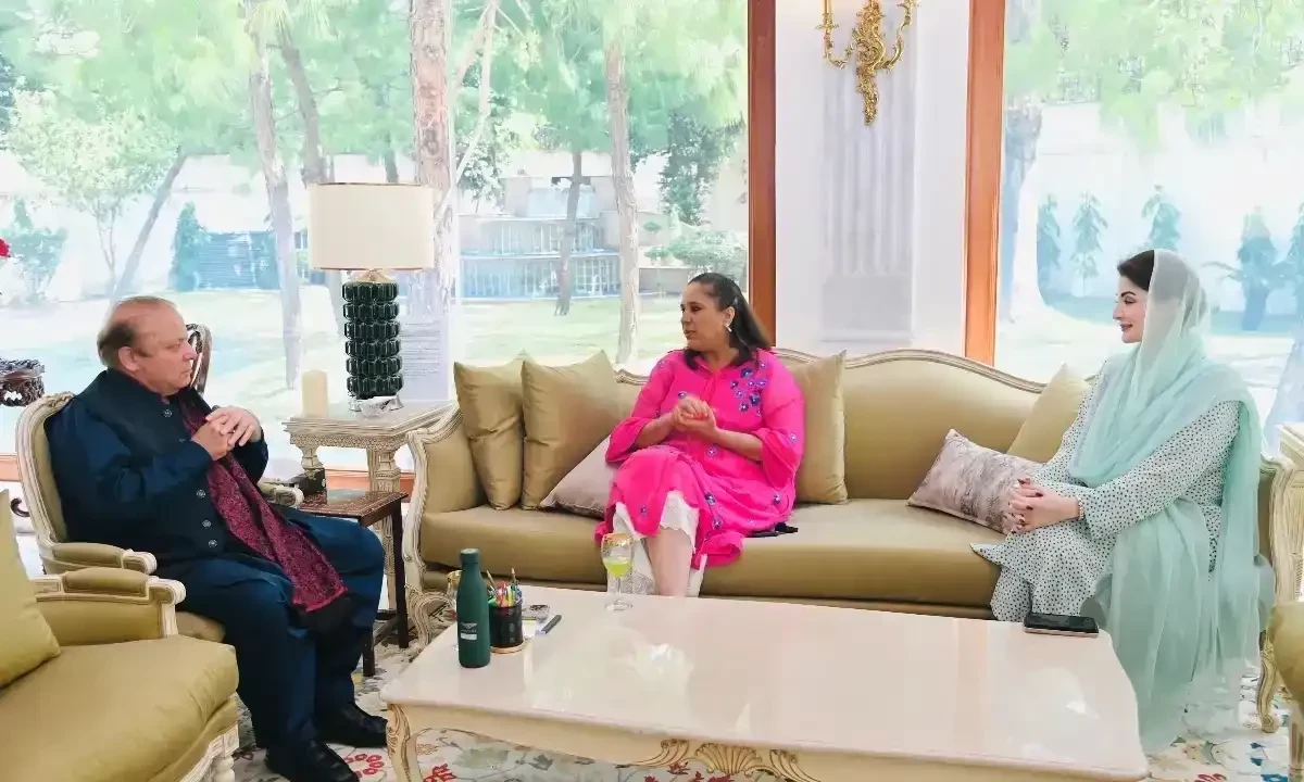 نوازشریف نے انٹرویو میں پاکستان کی غلطیوں کا ذکر کیا، کہا جلد مل بیٹھ کر بات کریں گے، برکھا دت