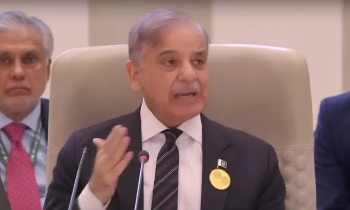 غزہ اور لبنان پر عرب اسلامک کانفرنس: اسرائیل کی اقوام متحدہ کی رکنیت پر نظرثانی کی جائے، وزیراعظم شہباز شریف