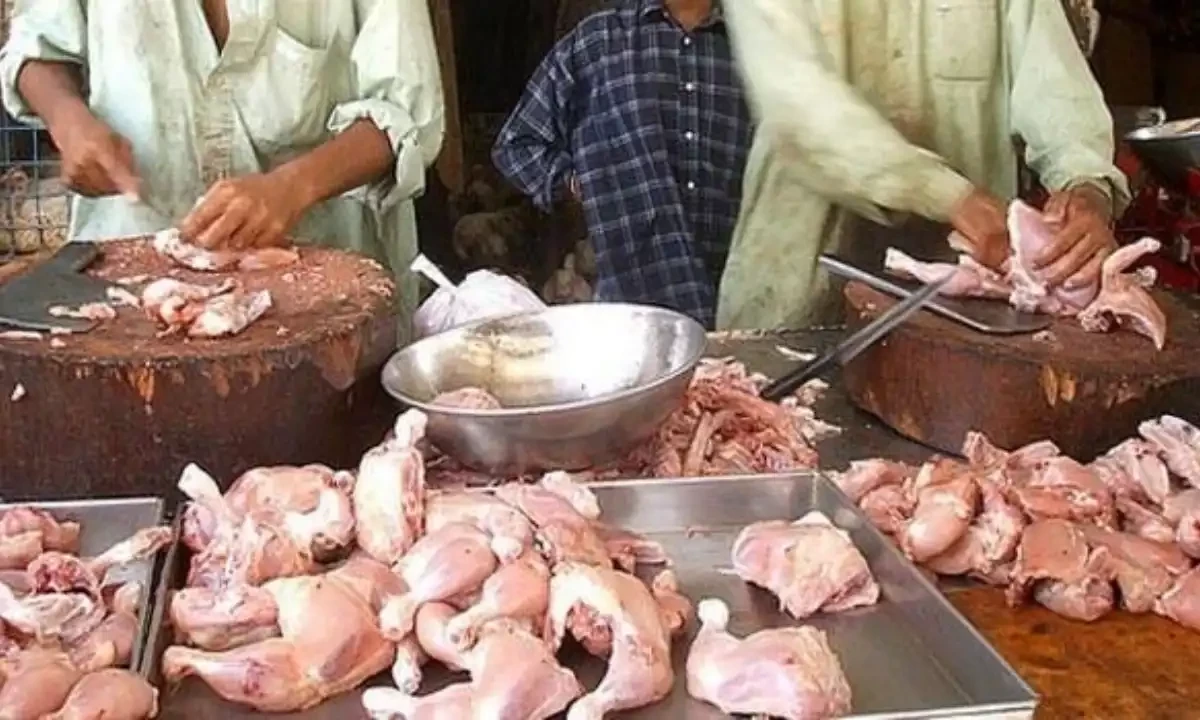 کراچی میں مرغی کے گوشت کی قیمتوں کو پر لگ گئے