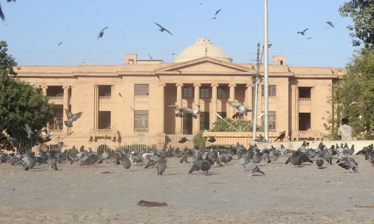 سندھ ہائیکورٹ کے آئینی بینچز کی کارکردگی رپورٹ جاری، ایک ماہ میں کتنے کیسز نمٹائے؟