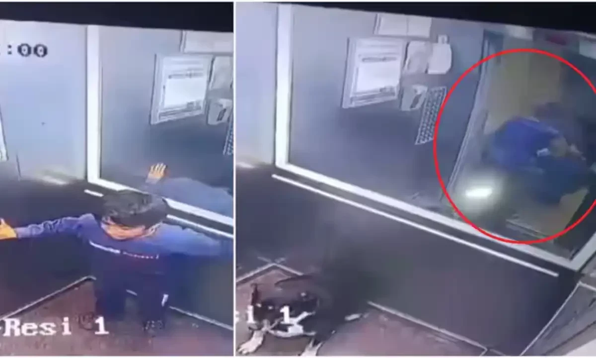 پالتو کتے کو لفٹ سے نکالنے کی درخواست پر خاتون نے بچے کو ہی لفٹ سے باہر نکال دیا