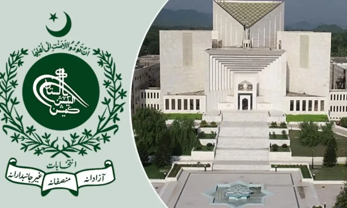 اوورسیز پاکستانیز ووٹ کیس؛ نادرا اور الیکشن کمیشن سے دو ہفتوں میں تفصیلی جواب طلب