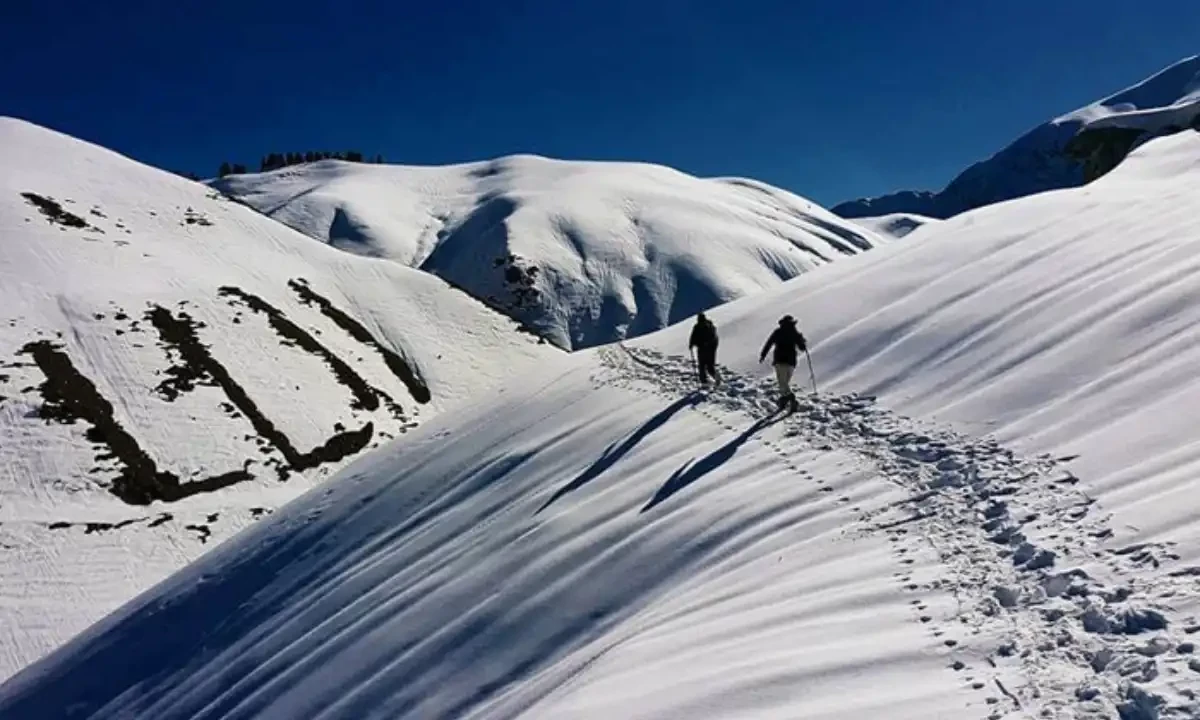 علامتی تصویر علامتی تصویر