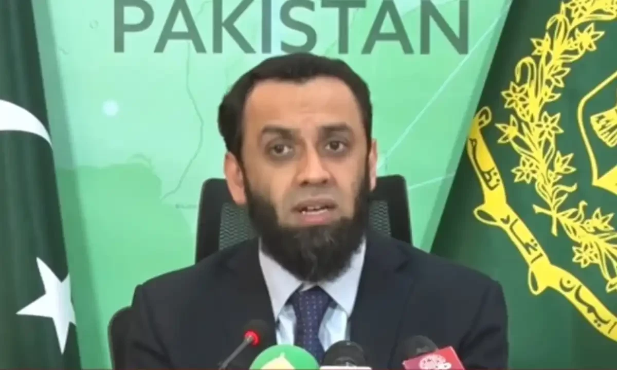 Minister for Information Atta Tarar. TV screengrab