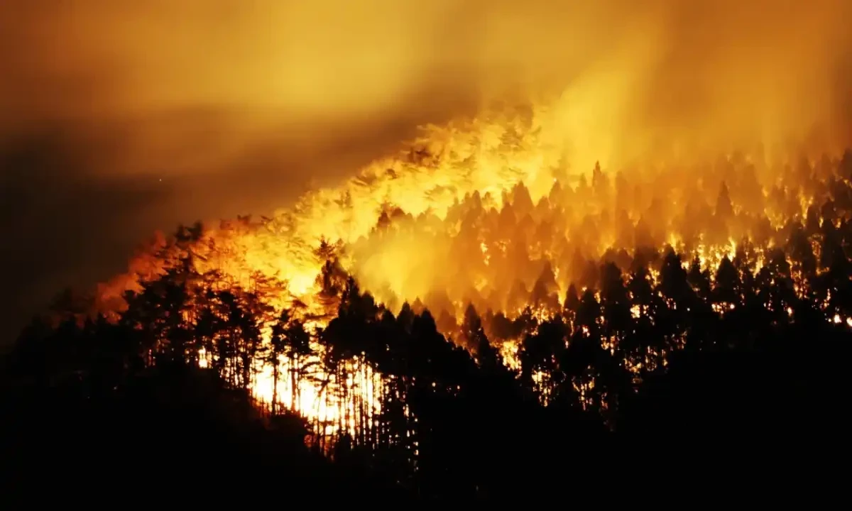 جاپان میں نصف صدی کی سب سے بھیانک آگ، 5 ہزار ایکڑ کا جنگل راکھ، آبادی نقل مکانی پر مجبور