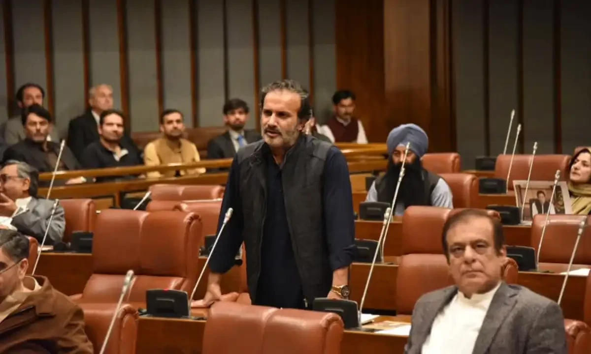 Pakistan Tehreek-e-Insaf Senator Aoun Abbas Bappi delivers his speech during the Senate session on March 08, 2025. Photo via Facebook/Senate of Pakistan