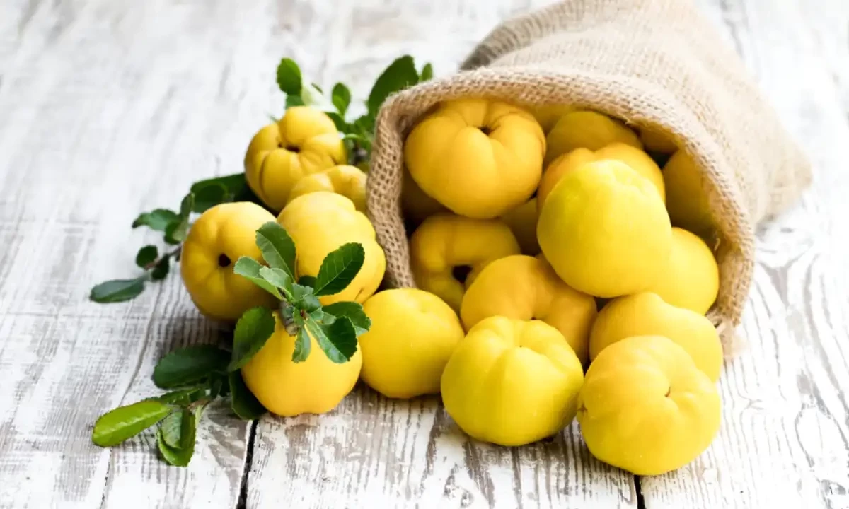 ایک جادوئی پھل جسے کھانے سے خوبصورت بچے پیدا ہوتے ہیں