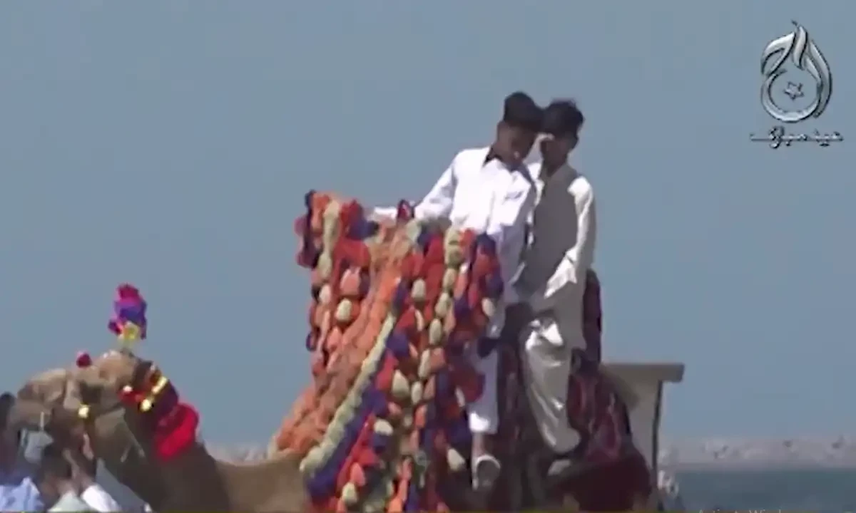 چھوٹی عید کی بڑی خوشیاں: بچوں کی موج مستی، مردوں نے بھی کچن سنبھال لیا